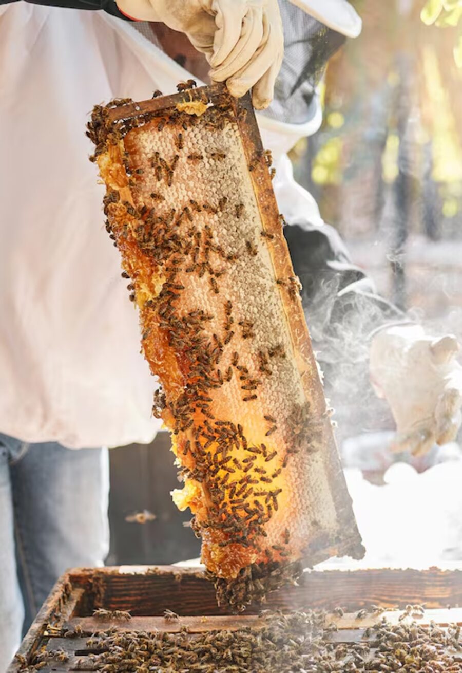 Raw Greek honey being drizzled from a dipper