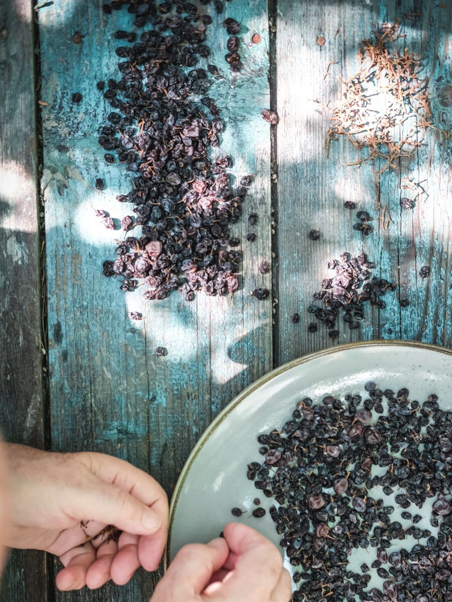 Vostizza currants drying on stone terraces